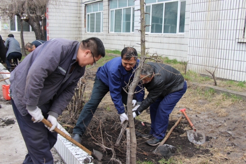铁选厂治理环境2