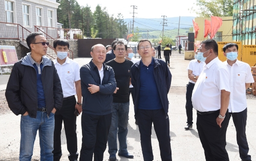 DSC_806411新铁矿 DSC_806411新铁矿