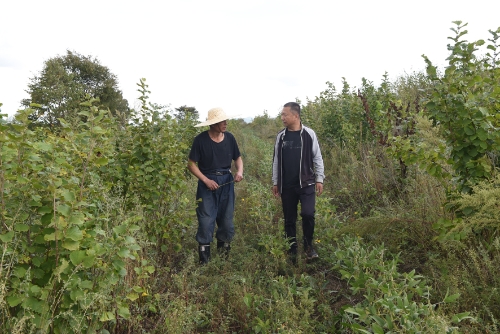 微信图片_20210926174540 微信图片_20210926174540