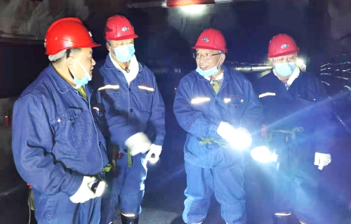 龙煤龙湖矿11 龙煤龙湖矿11