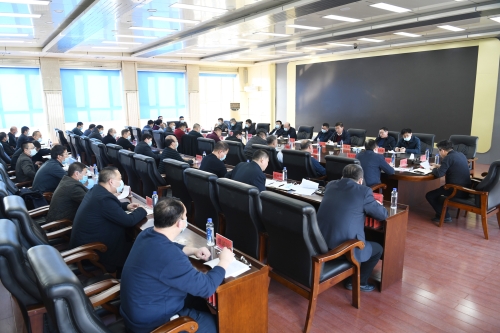 2022-03-03龙煤七台河矿业公司新建矿井及技改工程建设推进工作会议1