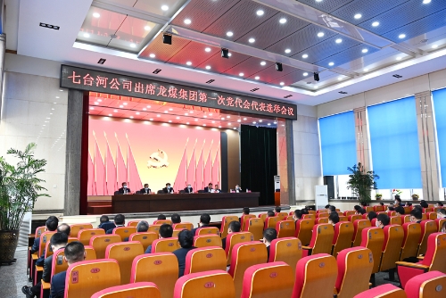 2022-03-14七台河公司出席龙煤集团第一届党代会选举会议2 2022-03-14七台河公司出席龙煤集团第一届党代会选举会议2