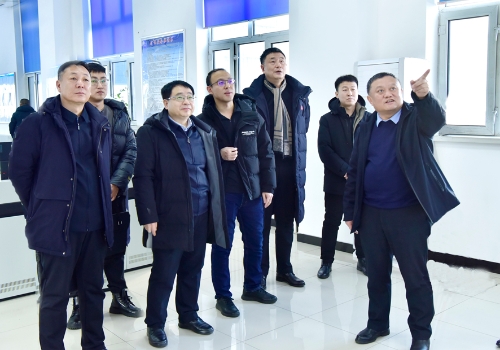 2023-12-22省安委会年终岁尾安全监察第九组到七台河公司新立矿检查安全生产工作4