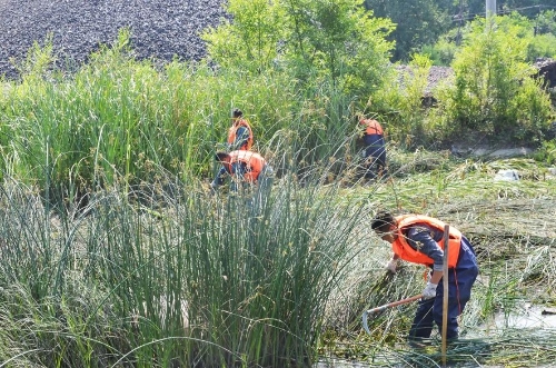 微信图片_20240713184226