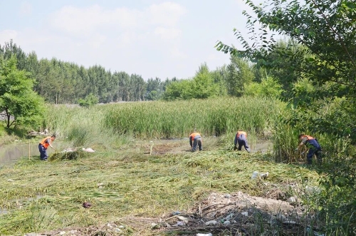 微信图片_20240713184233