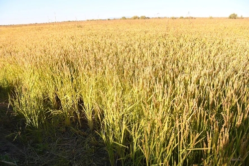 微信图片_20241009193646 微信图片_20241009193646