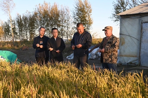 微信图片_20241009193652 微信图片_20241009193652