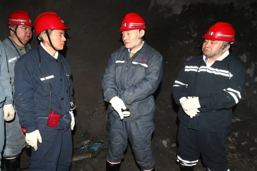 微信图片_20250220100250