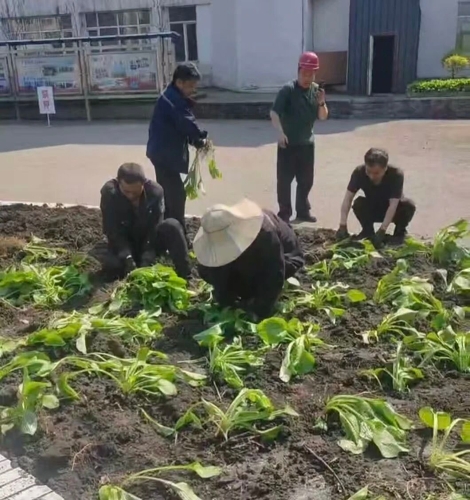 微信图片_2026-05-14_190733_004 微信图片_2026-05-14_190733_004