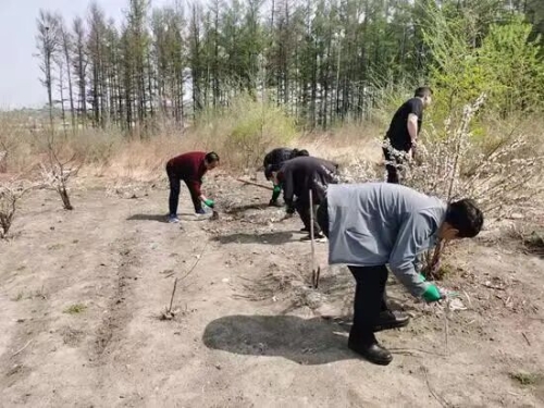 微信图片_2026-05-27_174946_293 微信图片_2026-05-27_174946_293
