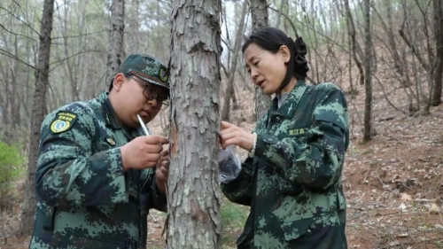 微信图片_2026-10-05_193902_072 微信图片_2026-10-05_193902_072